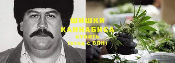ешки Белокуриха