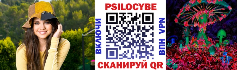 kraken вход  что такое   Козельск  Галлюциногенные грибы GOLDEN TEACHER 